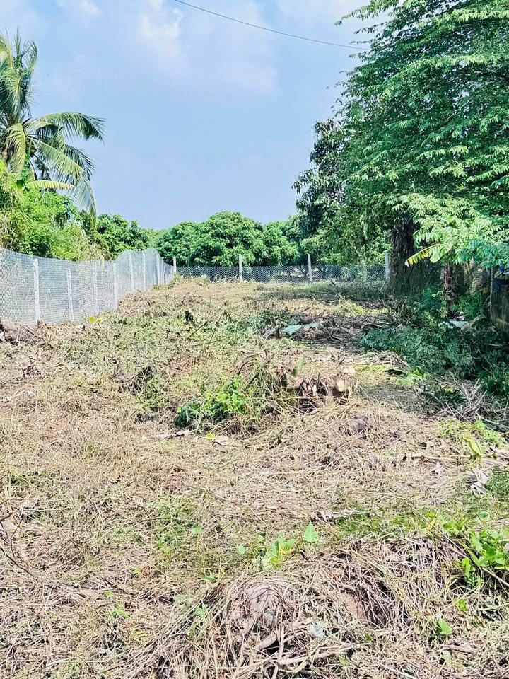 Đất mặt tiền Quốc lộ 54, xã Tân Quới, 398m² - Vị trí kinh doanh đắc địa!