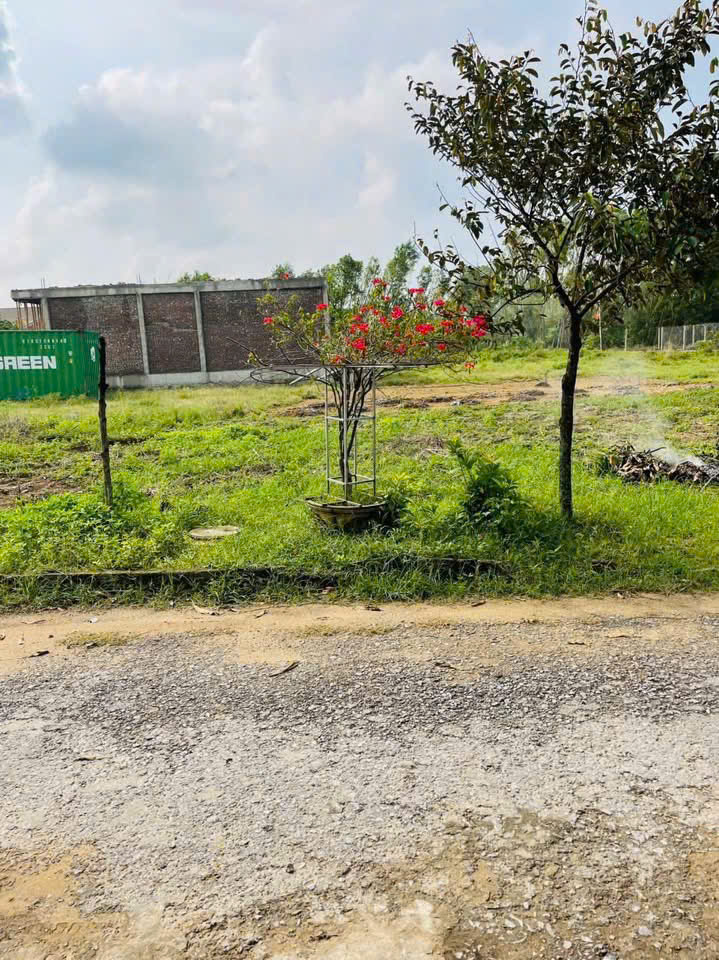 Đất nền Cửa Lò 162m² giá 2.5 tỷ - Đường ô tô tránh nhau