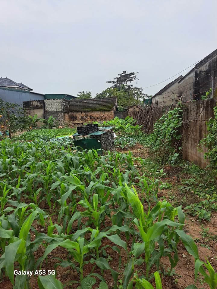 Đất nền Diễn Phúc 142m² giá 1.6 tỷ - Cơ hội đầu tư không thể bỏ lỡ!