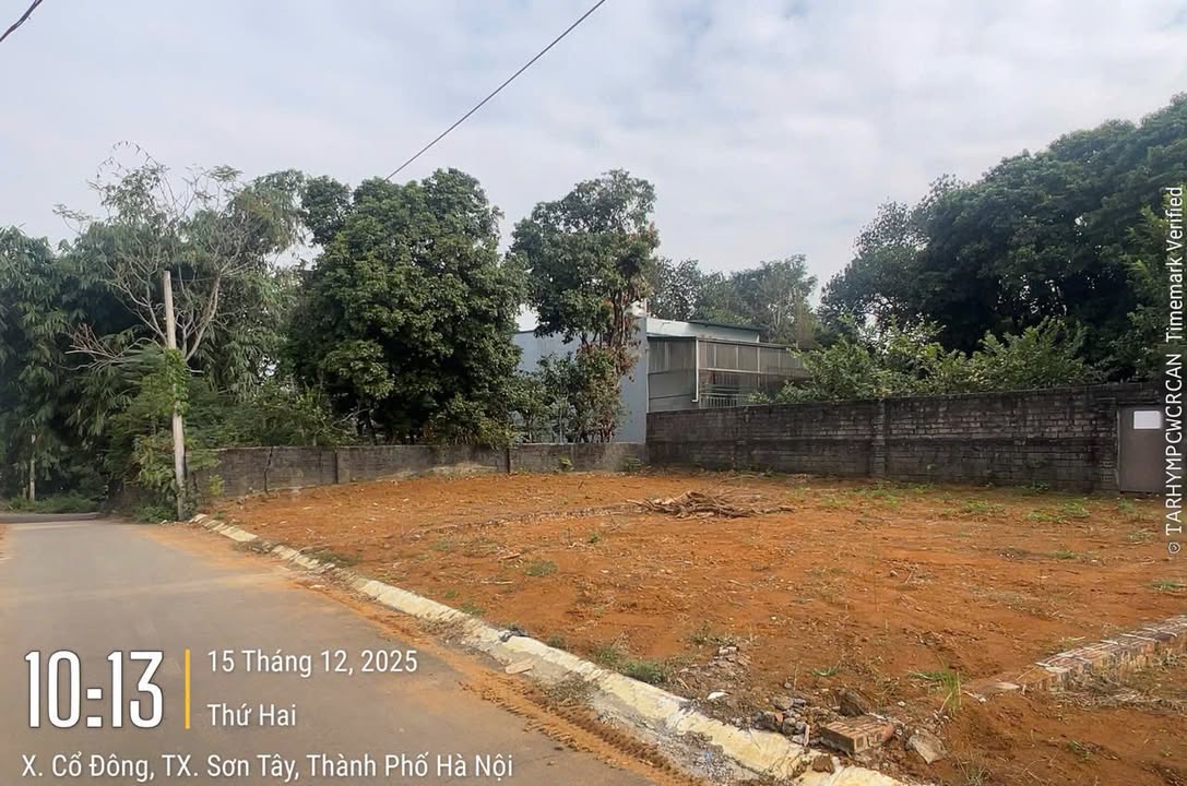 Đất nền Cổ Đông, Sơn Tây 120m² - Chính chủ bán gấp, giá thương lượng!