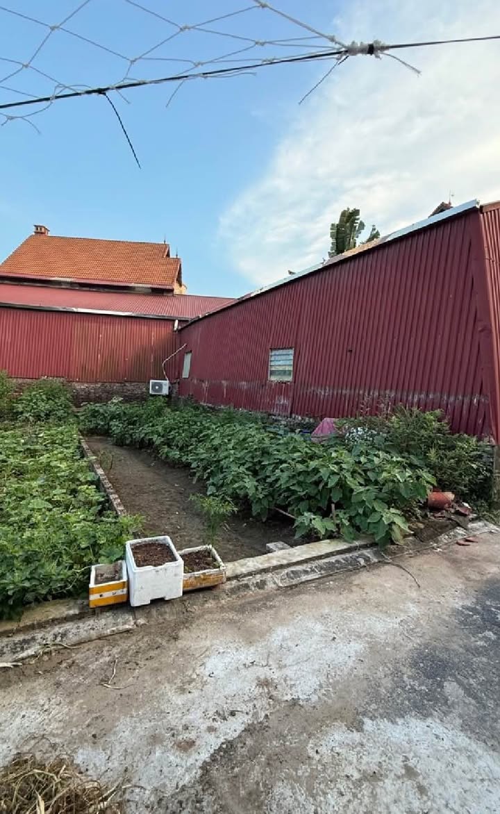 Đất nền Đa Tốn, Gia Lâm 48m² giá chỉ 3 tỷ - Ô tô thông cách 20m