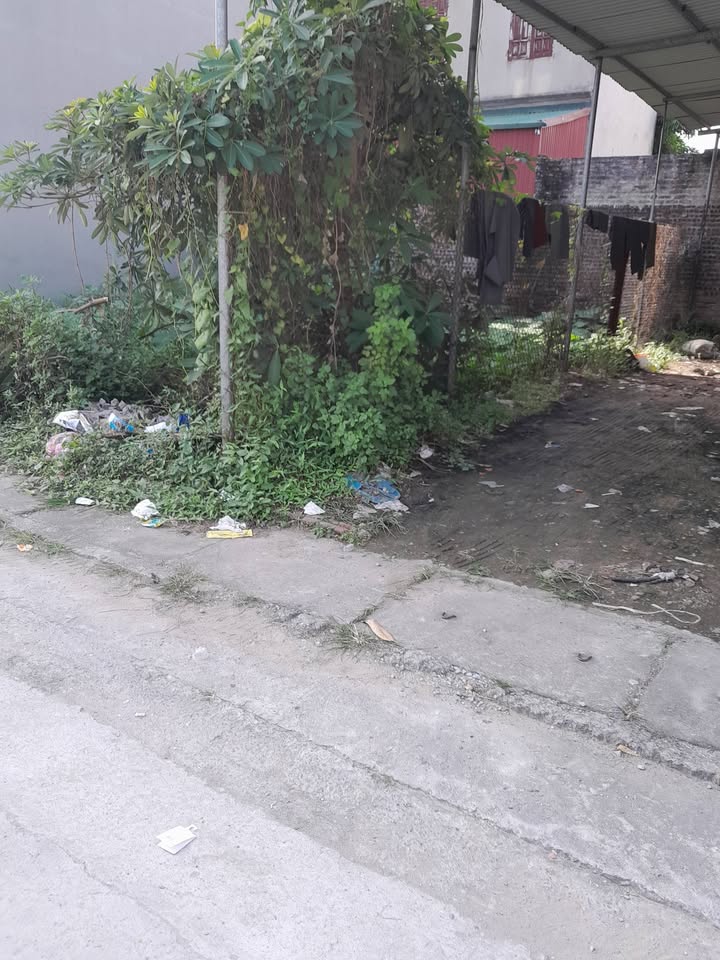 Đất nền Phố Dư Xá 107m² giá thỏa thuận - Vị trí đắc địa, pháp lý chuẩn