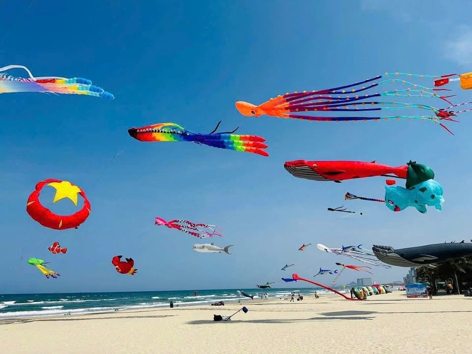 Lô đất đường Tô Hiến Thành, Đà Nẵng 800m² giá 114.4 tỷ - Cơ hội đầu tư vàng gần biển!