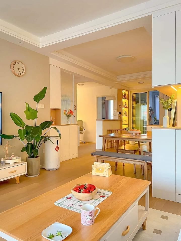 Căn hộ Sông Nhuệ Hà Đông 48m² giá 3 tỷ - Sổ đỏ chính chủ, giao ngay!