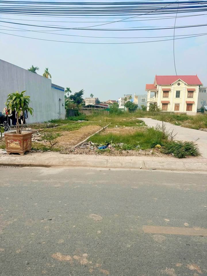 Đất nền 76m² tại phường Đại Bản, An Dương chỉ 2.3 tỷ - Kinh doanh đắc địa!