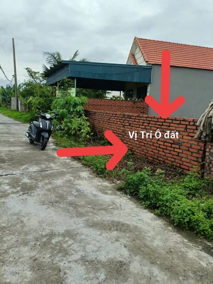 Đất nền Hoàng Quế Đông Triều 252,5m² giá chỉ 1,5 tỷ - Đầu tư sinh lời nhanh!