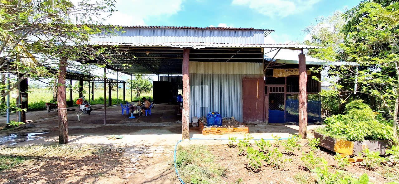 Đất vườn 1,1ha Hàm Kiệm giá chỉ 4,4 tỷ - Cơ hội đầu tư tuyệt vời!