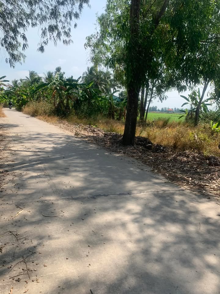 Đất ruộng 34.600m² tại Châu Hưng, Vĩnh Lợi, Bạc Liêu - Giá chỉ 1.826 tỷ đồng!