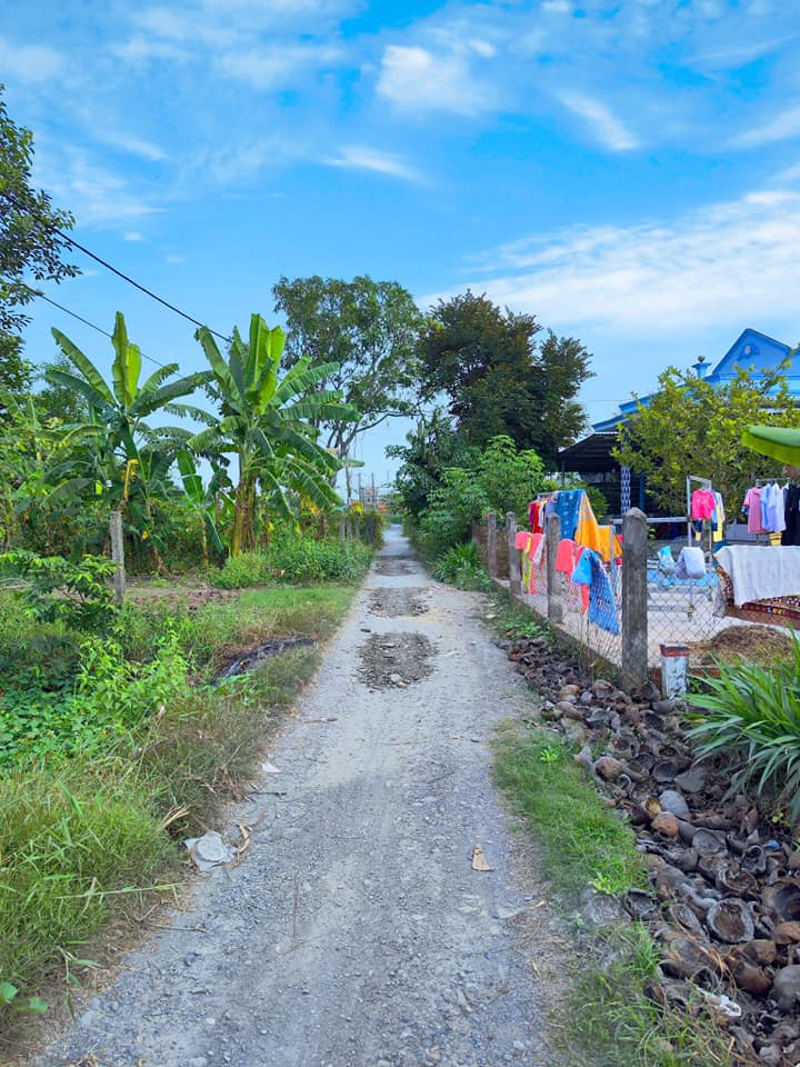 Đất vườn Bình Chánh 199m² giá 2.5 tỷ - Cơ hội đầu tư tuyệt vời!