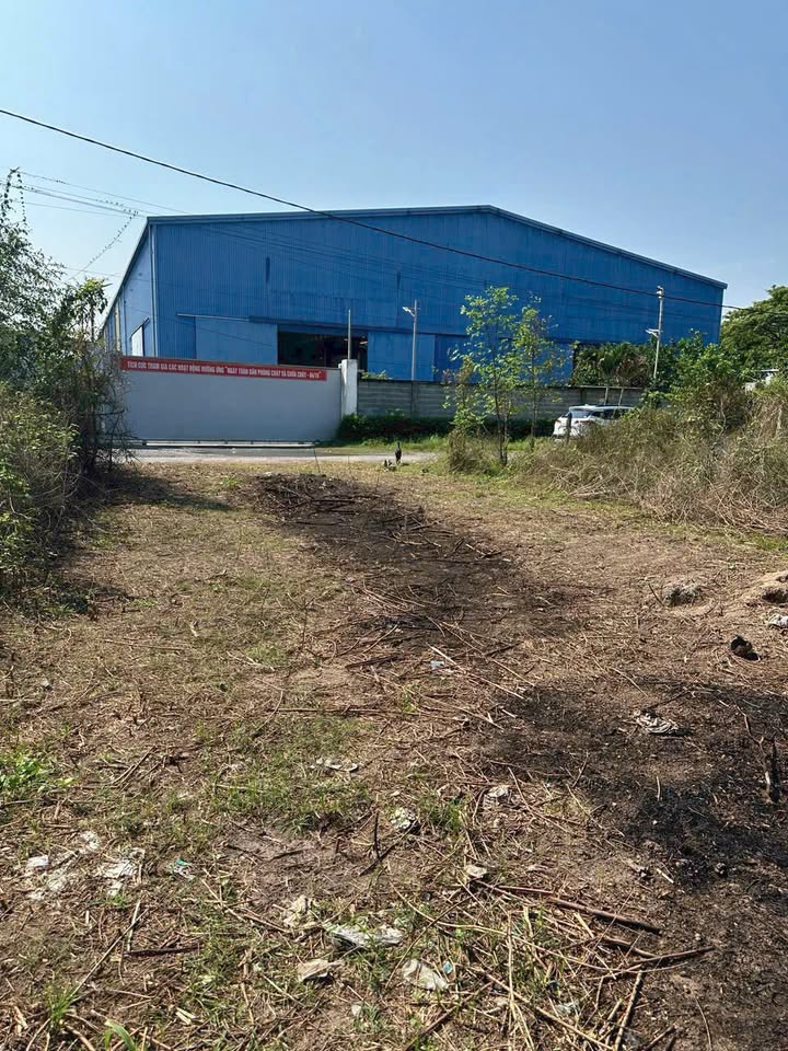 Đất thổ cư đường 501 Nhuận Đức, Củ Chi 107.5m² giá 1.3 tỷ - Sổ hồng riêng, cơ hội đầu tư tốt!