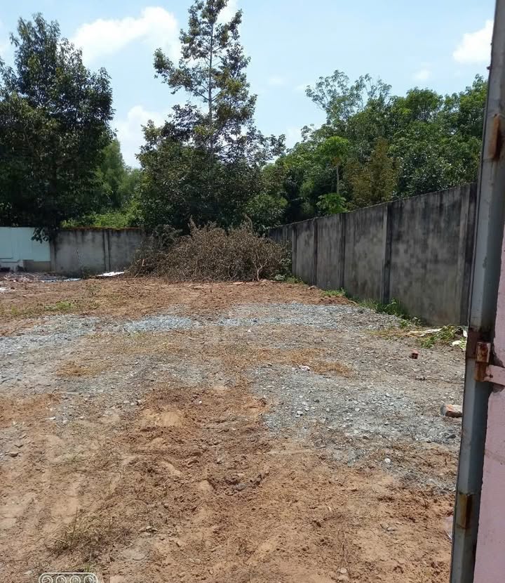 Đất góc 2 mặt tiền đường Bà Thiên, Nhuận Đức, Củ Chi 433m² - Giá chỉ 4.8 tỷ thương lượng!