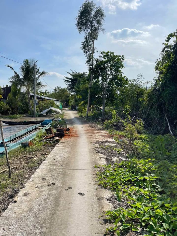 Đất nông nghiệp 6000m² xã Trường Xuân B, Thới Lai giá chỉ 1.02 tỷ - Cơ hội đầu tư tuyệt vời!