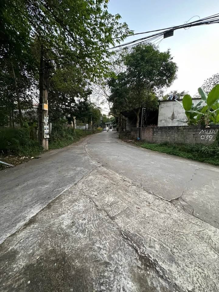 Đất thổ cư Tràng Đà 99m² giá 700 triệu - Hướng Đông, gần trường học!