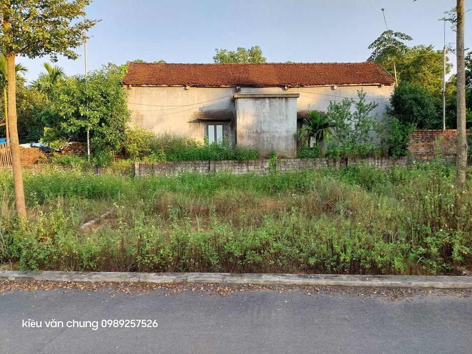 Đất nền Tân Xã, Thạch Thất 64m² giá 3 tỷ - Sổ đỏ chính chủ, đường ô tô tránh