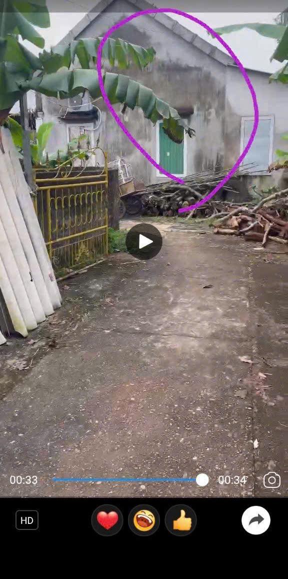 Farm Đông Thành, Thái Hòa 500m² giá 800 triệu - Cơ hội đầu tư hấp dẫn!