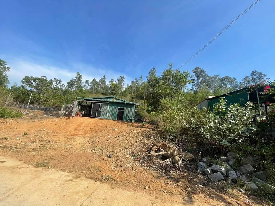 Lô đất thổ cư 3659m² tại Ninh Hòa, Khánh Hòa - Pháp lý sổ hồng chính chủ