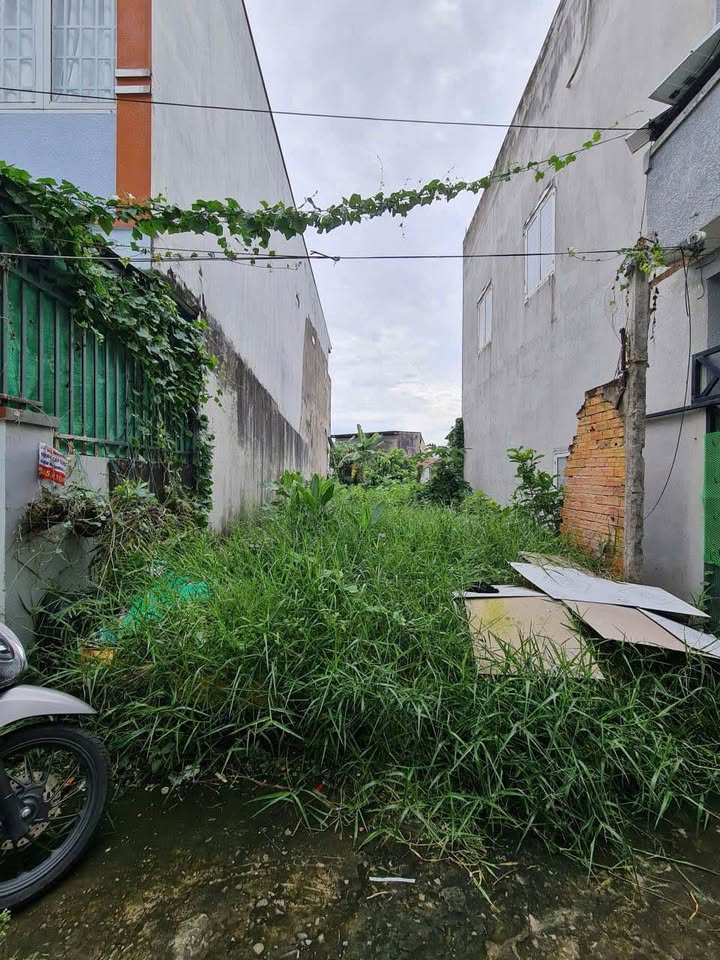 Đất nền giá rẻ gần Đại học Y Dược, Tân An, 52m² - Tiềm năng lớn cho tương lai!