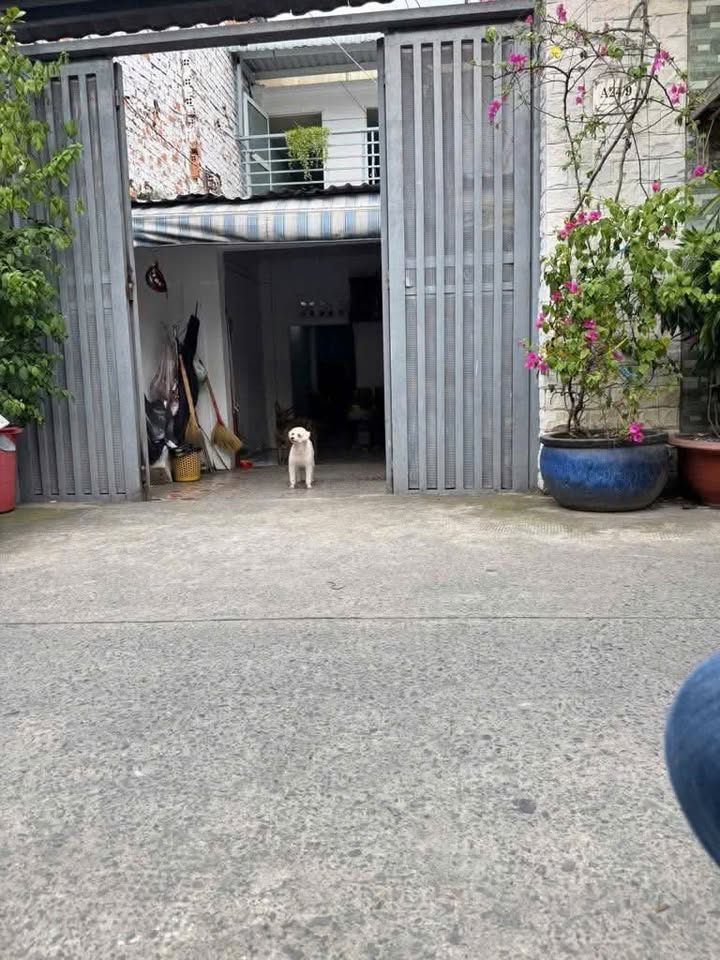 Nhà bán Dạ Nam, Quận 8, 75m² giá 5 tỷ - Hẻm xe hơi tận nhà!