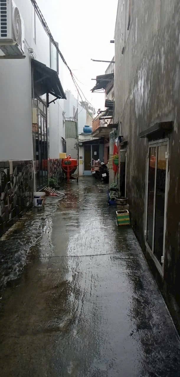 Nhà cấp 4 Bông Sao, quận 8, 49.6m² giá 3 tỷ - Cơ hội sửa chữa hoặc xây mới!