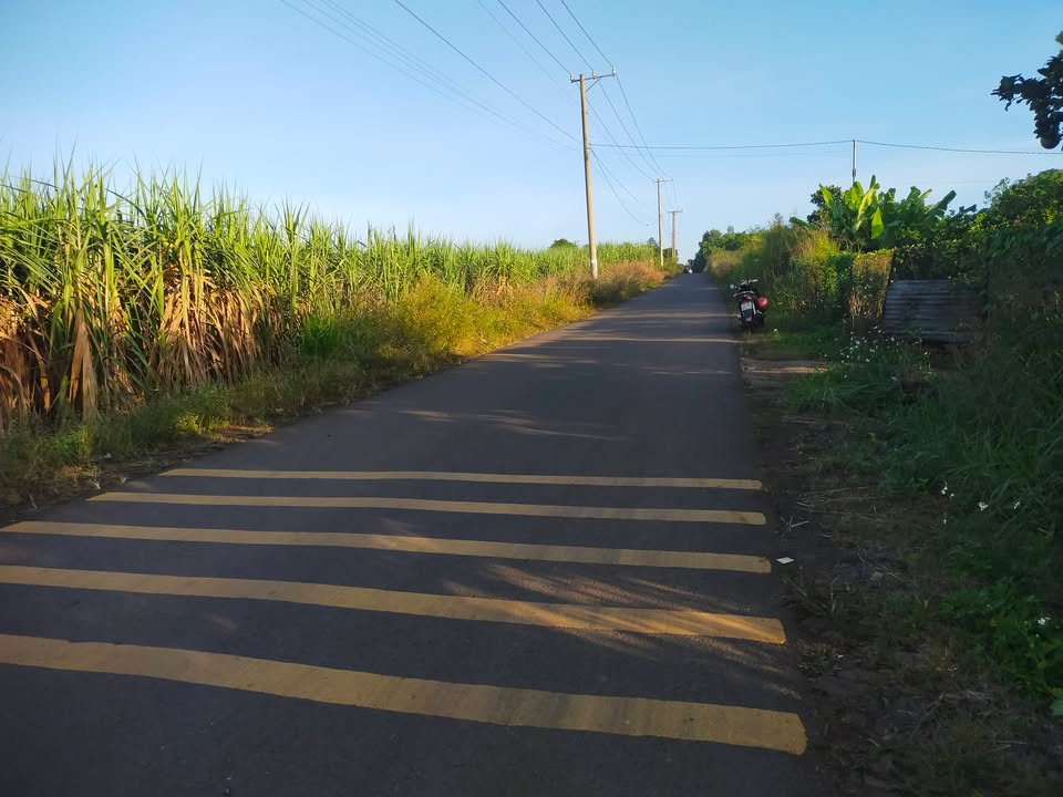 Đất nền 1000m² mặt tiền đường Ba Lá Xanh, xã Hưng Thịnh, chỉ 1.28 tỷ - Cơ hội đầu tư hấp dẫn!