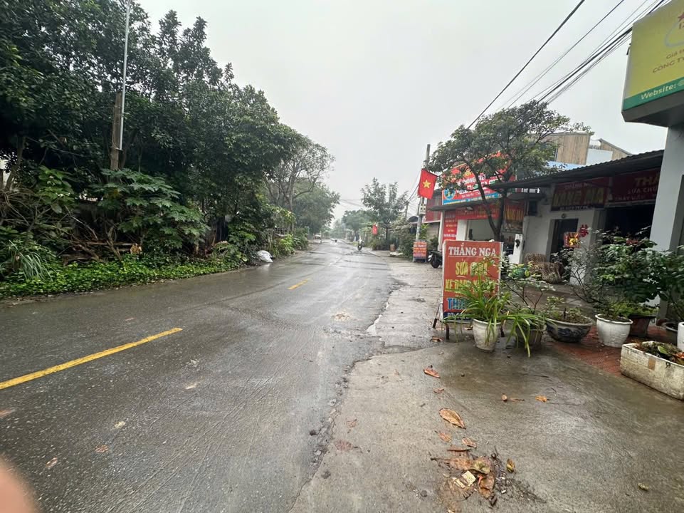 Đất nền Thôn Đại Định - Tam Hưng 105.6m² giá 7.66 tỷ - Kinh doanh sầm uất!