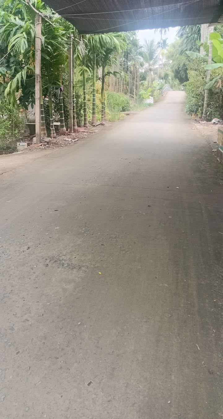 Đất thổ cư 700m² tại Trường Thành, Cần Thơ - Cách cầu KH8 chỉ 200m!