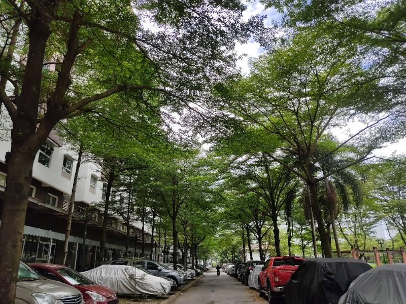 Căn hộ Ehome 3 quận Bình Tân 50m² giá 1.9 tỷ - Cơ hội đầu tư tuyệt vời!