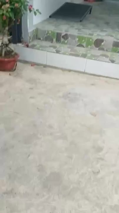 Nhà riêng Thới Tam Thôn 108m² giá 2.1 tỷ - Vị trí đẹp, sổ đỏ chính chủ!