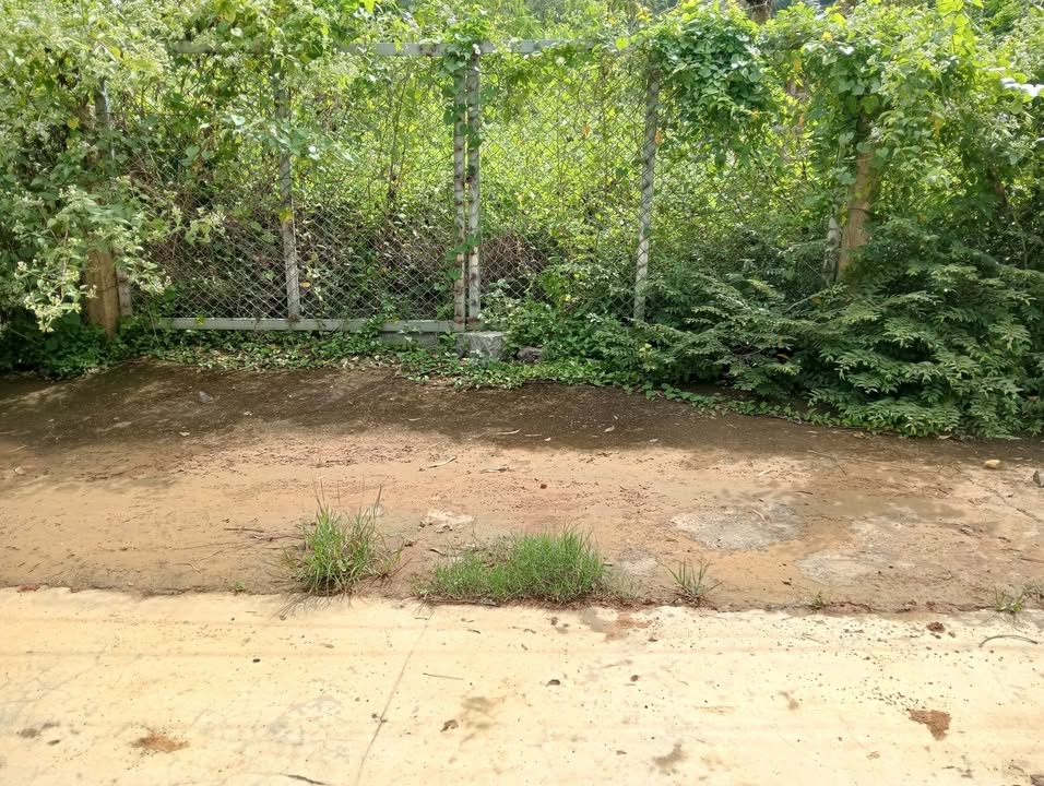 Đất thổ cư 276m² tại Ninh Đa, Khánh Hòa - Giá hấp dẫn chỉ 2.017 tỷ!