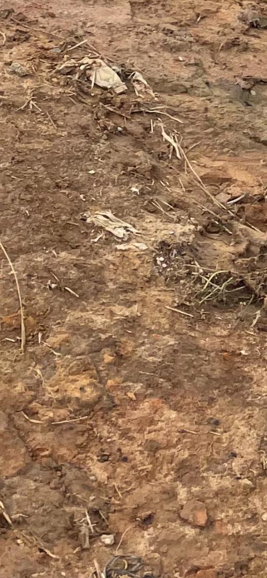 Đất nền Tân Thanh, Lâm Hà 10.000m² giá 1.35 tỷ - Cơ hội đầu tư hấp dẫn!