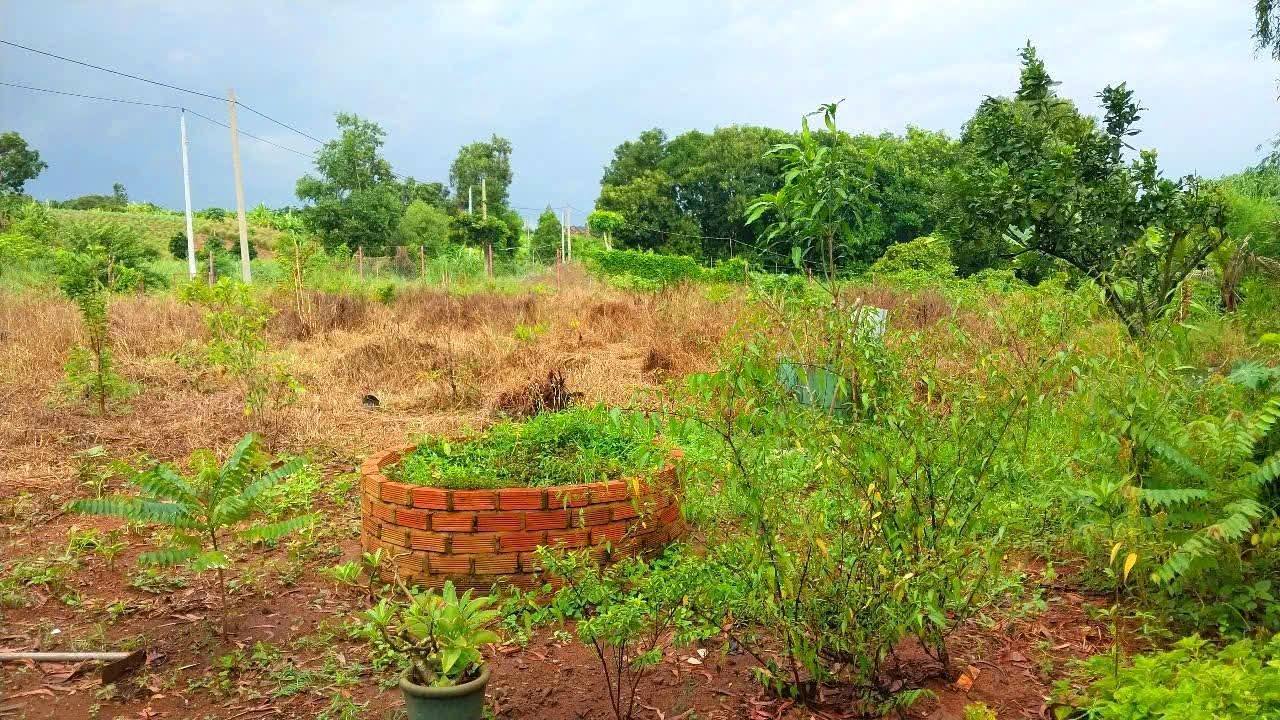 Đất cây hàng năm Long Tân 1440m² giá chỉ 1 tỷ - Đầu tư sinh lời ngay!