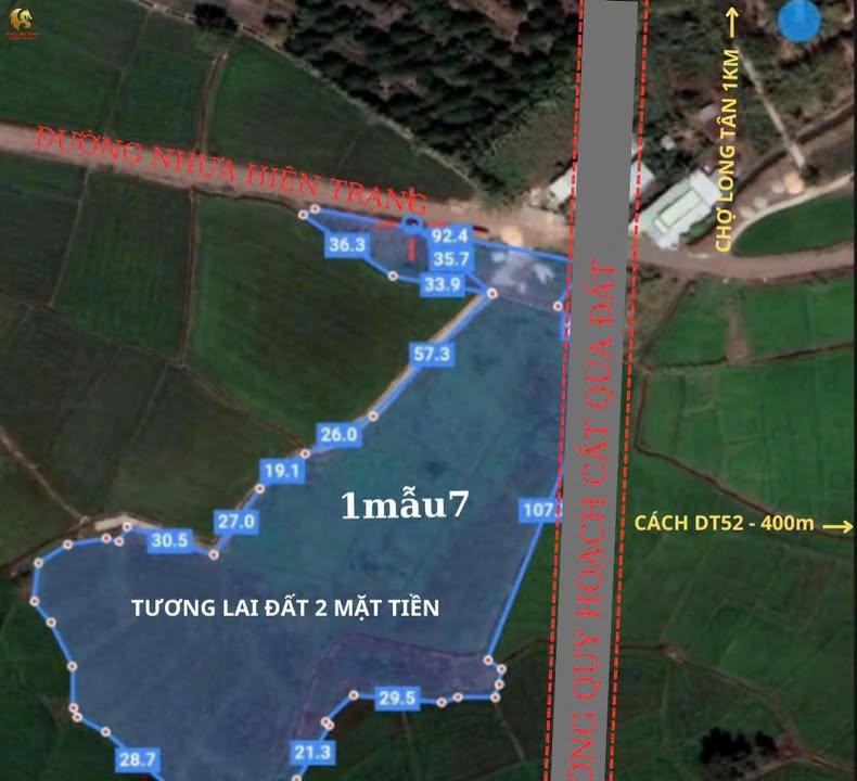 Đất nền Long Tân, Đất Đỏ 17,416m² giá 799 triệu - Tiềm năng đầu tư vượt trội!