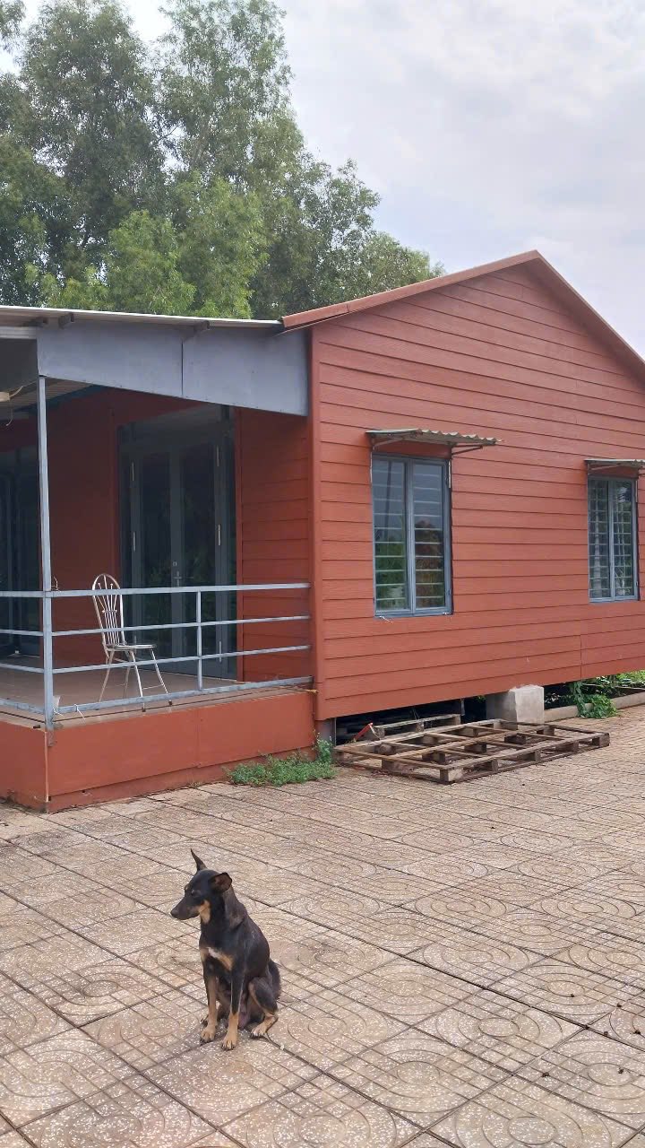 Đất vườn Long Tân 1440m² giá 1.6 tỷ - Nhà tiền chế rộng rãi cho cả gia đình!