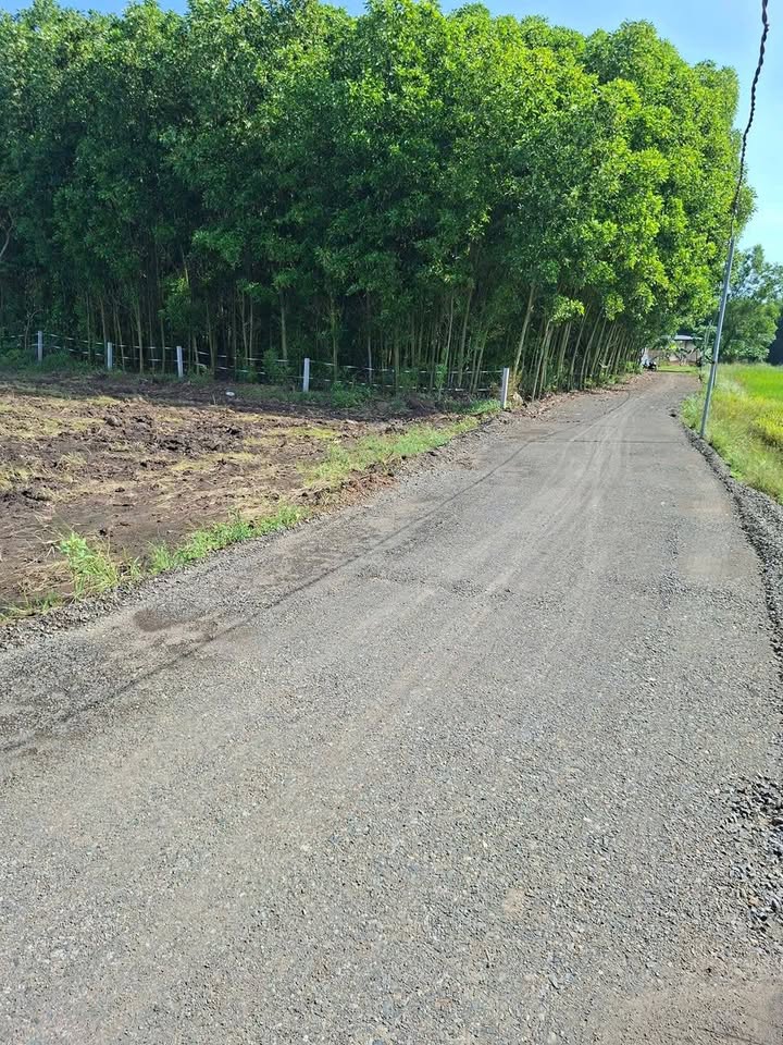 Đất nền 1017m² mặt tiền đường xe hơi Phước Long Thọ - Giá chỉ 700 triệu!