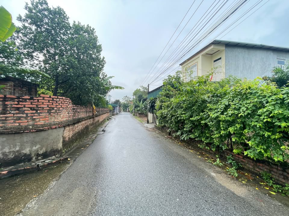 Đất nền 170m² tại Xóm Nội - Thụy Vân giá 1 tỷ - Cơ hội đầu tư tuyệt vời!