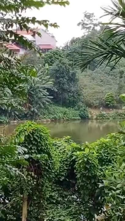 Bán đất xóm Bãi - xã Lương Nha 2130m² - View hồ đẹp, không khí trong lành!