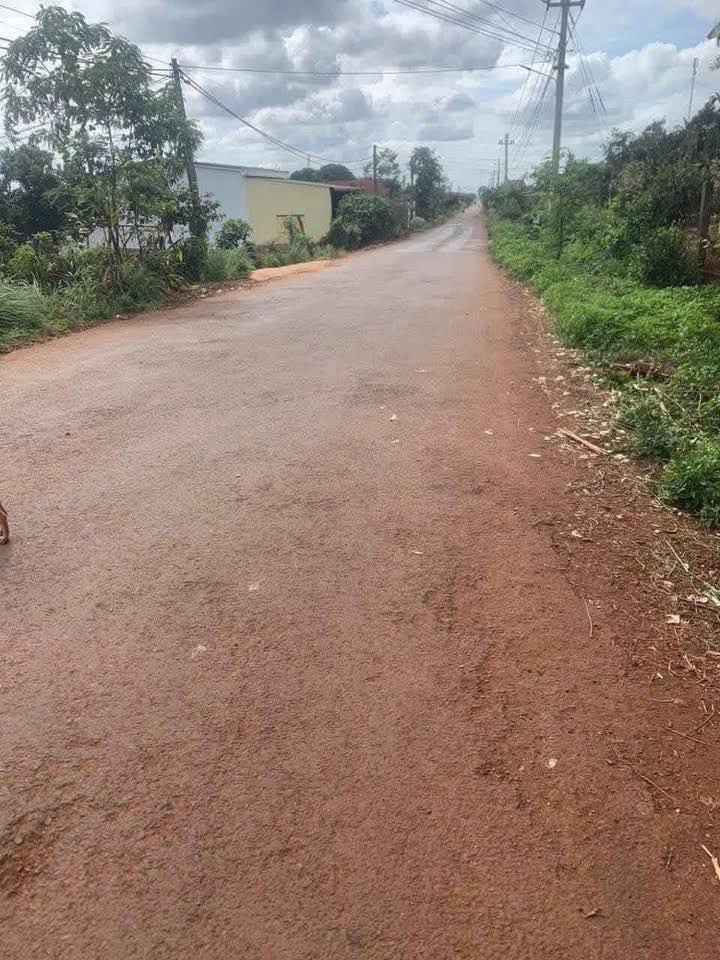 Đất nền mặt tiền đường Liên tỉnh Trục chính, Ea H'leo 100m² - Cơ hội đầu tư tuyệt vời!