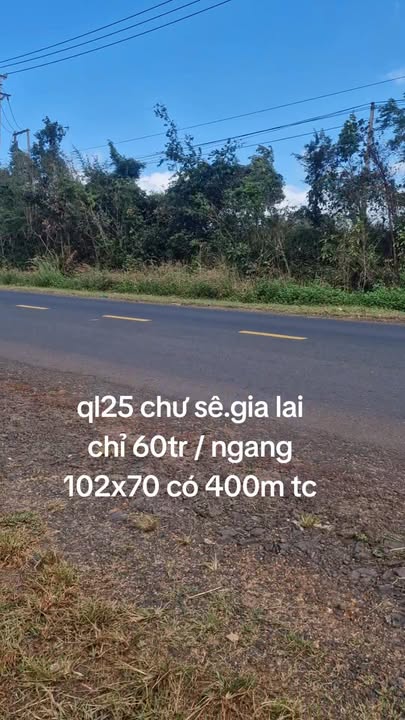 Đất nền Quốc lộ 25, Chư Sê, 7140m² chỉ 6.12 tỷ - Cơ hội đầu tư tuyệt vời!