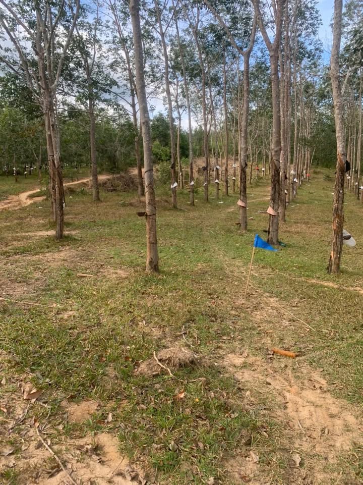 Đất nền Ngọc Bay, Kon Tum 27,000m² - Pháp lý rõ ràng, giá tốt