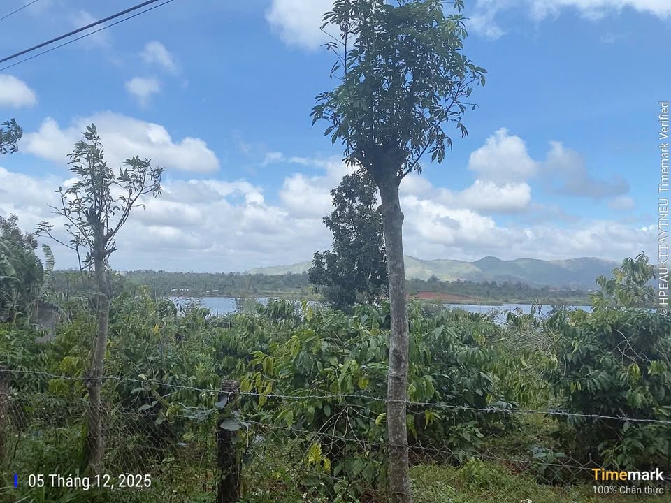 Đất Farm tại xã Ea Ning, Cư Kuin, Đắk Lắk 210m² giá chỉ 299 triệu - Cơ hội đầu tư hấp dẫn!