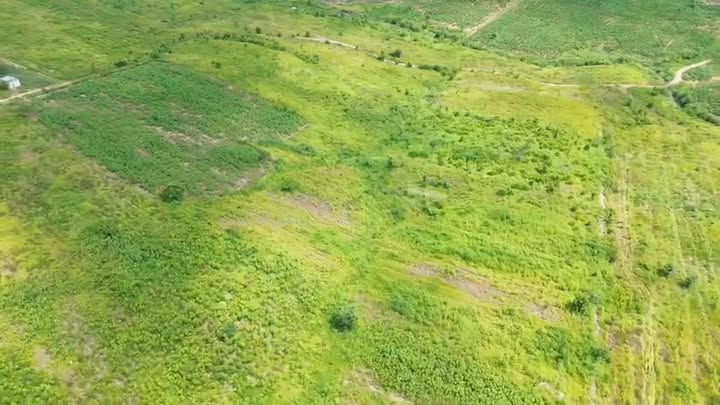 Đất trang trại Buôn Đôn Đắk Lắk 5ha giá 5.5 tỷ - Cơ hội đầu tư sinh lời!