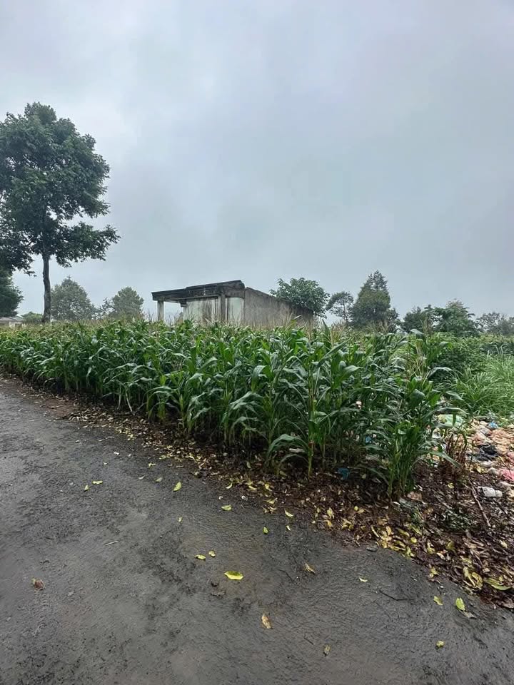 Đất thổ cư thị trấn Ea Kar 85m² giá 600 triệu - Vị trí đắc địa, tiện ích xung quanh!