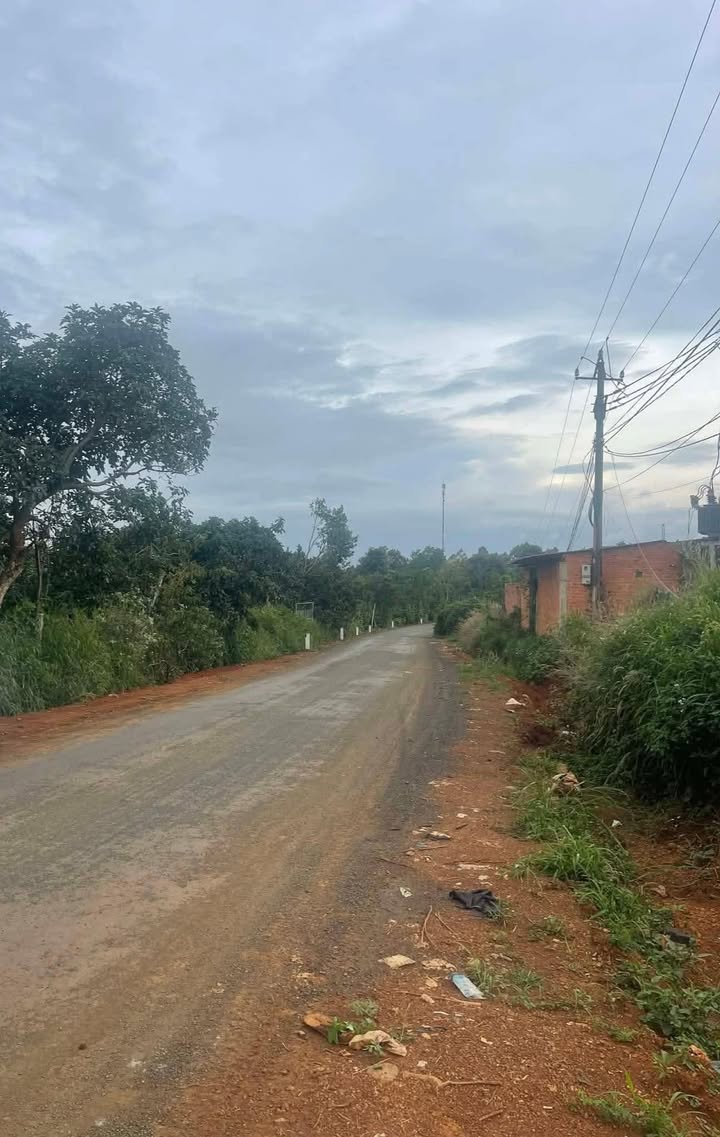 Bán đất thổ cư 324m² tại Đức Bình, Tánh Linh - Giá chỉ 680 triệu!