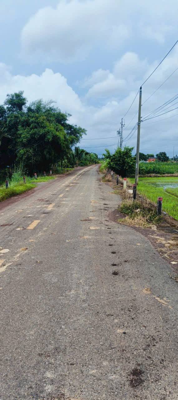 Đất Phước Hội Đất Đỏ 2146m² giá 1.7 tỷ - Đầu tư lý tưởng cho nhà vườn nghỉ dưỡng!