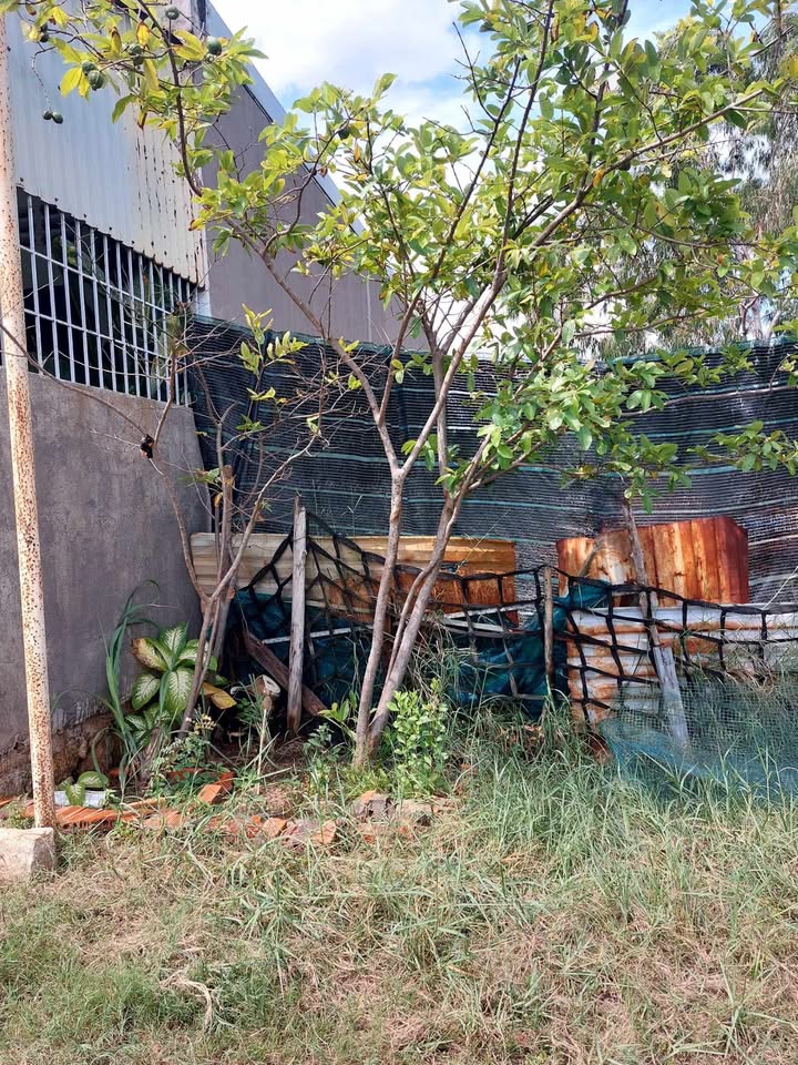 Đất chính chủ Vũng Tàu 82m² giá chỉ 500 triệu - Cơ hội đầu tư tuyệt vời!