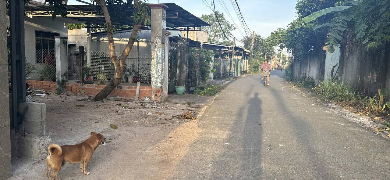 Đất nền Phước Bửu, Xuyên Mộc 185m² giá 1.55 tỷ - Sổ đỏ chính chủ, vị trí đắc địa!