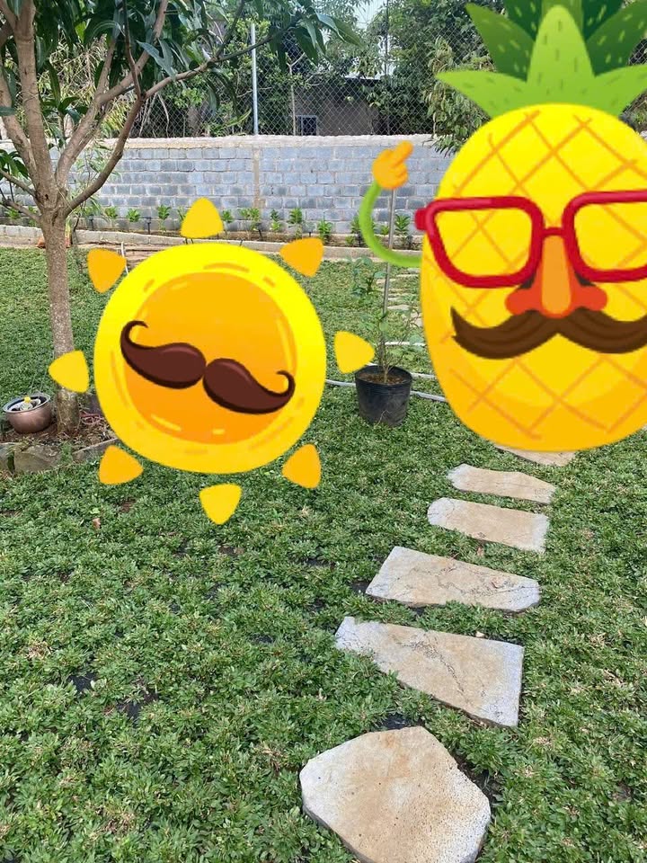 Nhà sân vườn hẻm Đội Cấn Bảo Lộc 540m² giá 3.7 tỷ - Không thể bỏ lỡ!