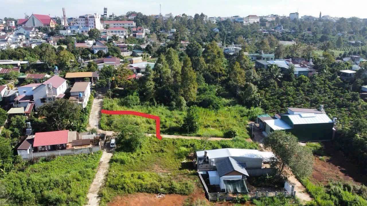 Đất nền 2 mặt tiền hẻm 41 Đinh Công Tráng, Lộc Châu 240m² giá 1.35 tỷ - Cơ hội đầu tư hấp dẫn!