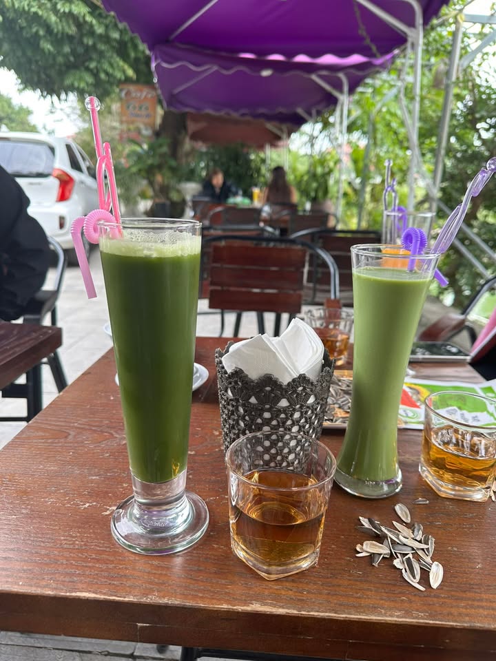 Đất nền Hạ Hòa Phú Thọ 230m² giá 1.65 tỷ - Sổ đỏ chính chủ, thương lượng tốt!