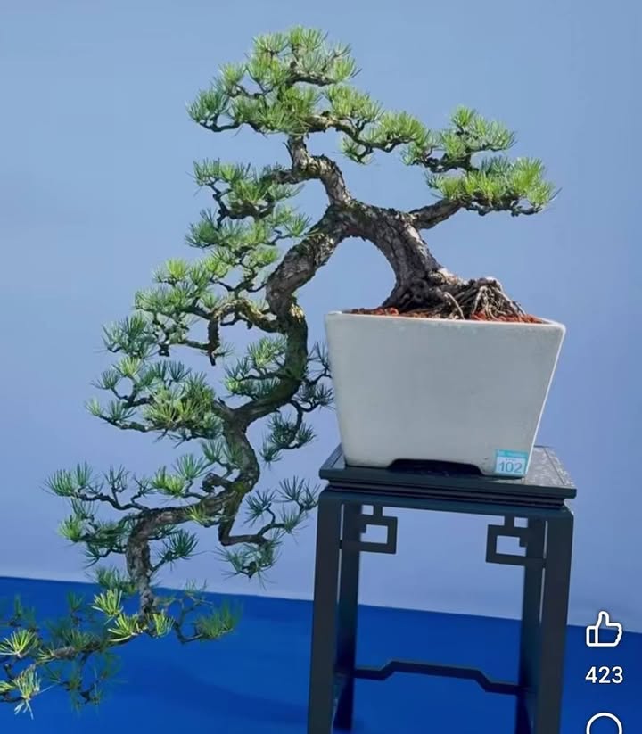 Đất nền Nhơn Hưng 130m² giá chỉ 9xx triệu - Sổ hồng sang tên nhanh!